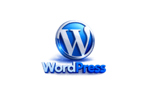 digital marketing strategist in wayanad wordpress